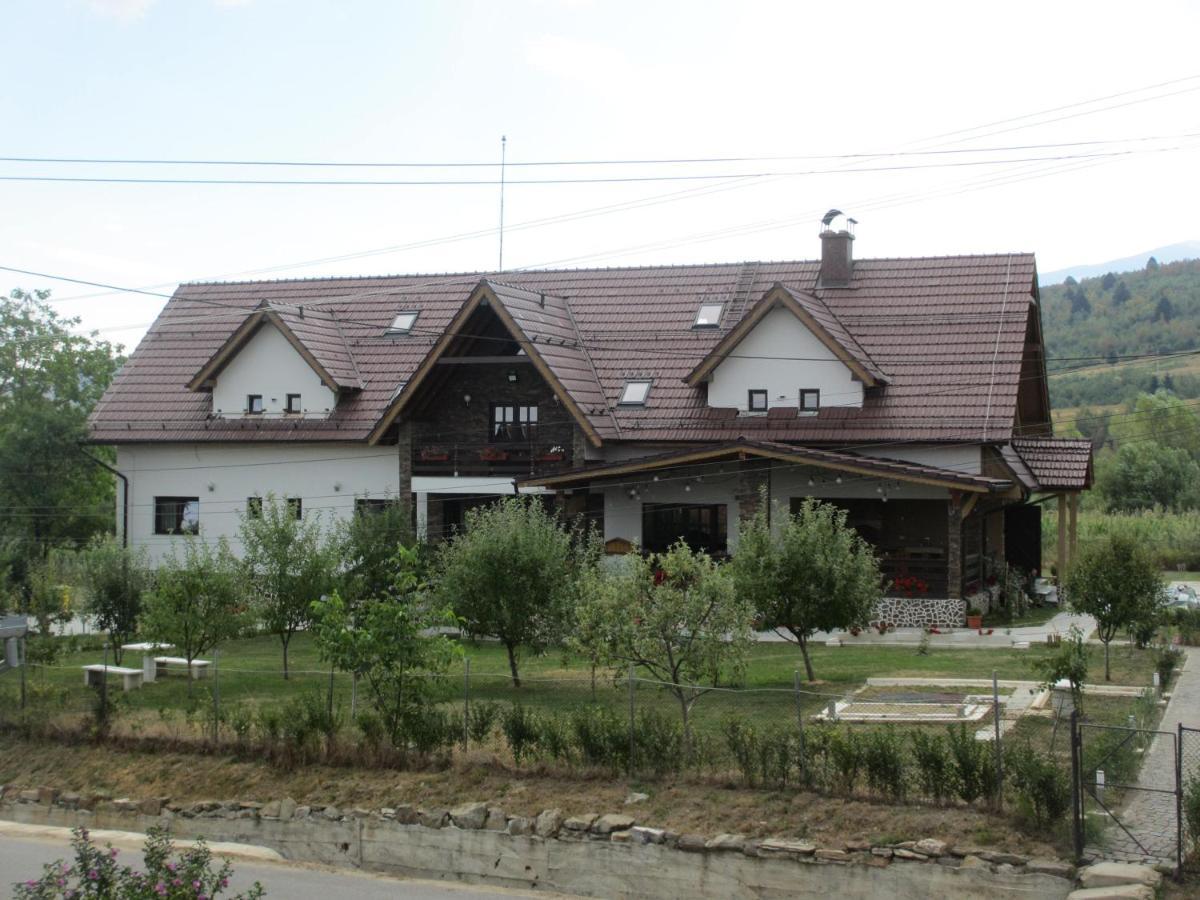 Hotel Nut House Retezat Nucsoara  Esterno foto