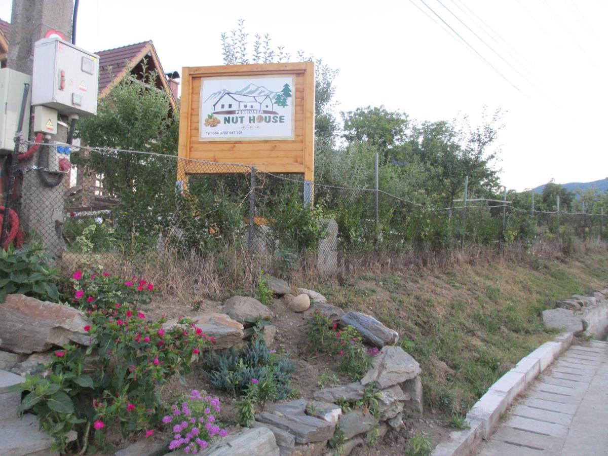 Hotel Nut House Retezat Nucsoara  Esterno foto