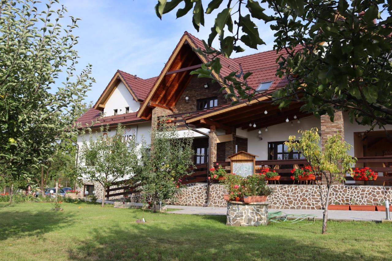 Hotel Nut House Retezat Nucsoara  Esterno foto