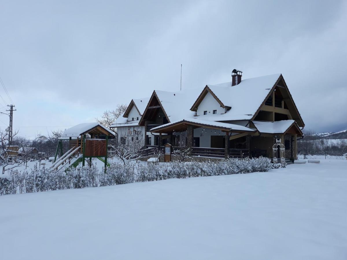 Hotel Nut House Retezat Nucsoara  Esterno foto