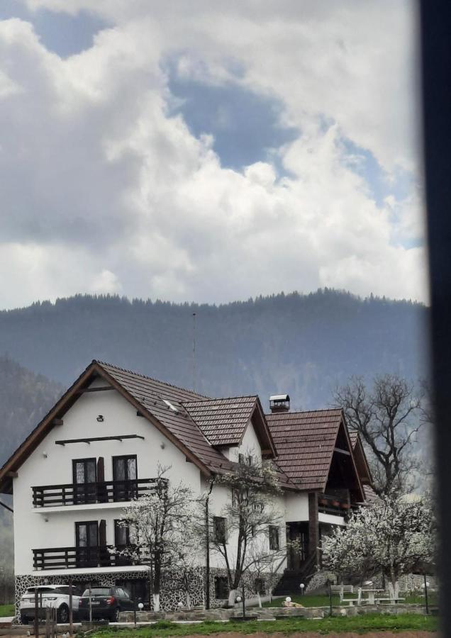Hotel Nut House Retezat Nucsoara  Esterno foto