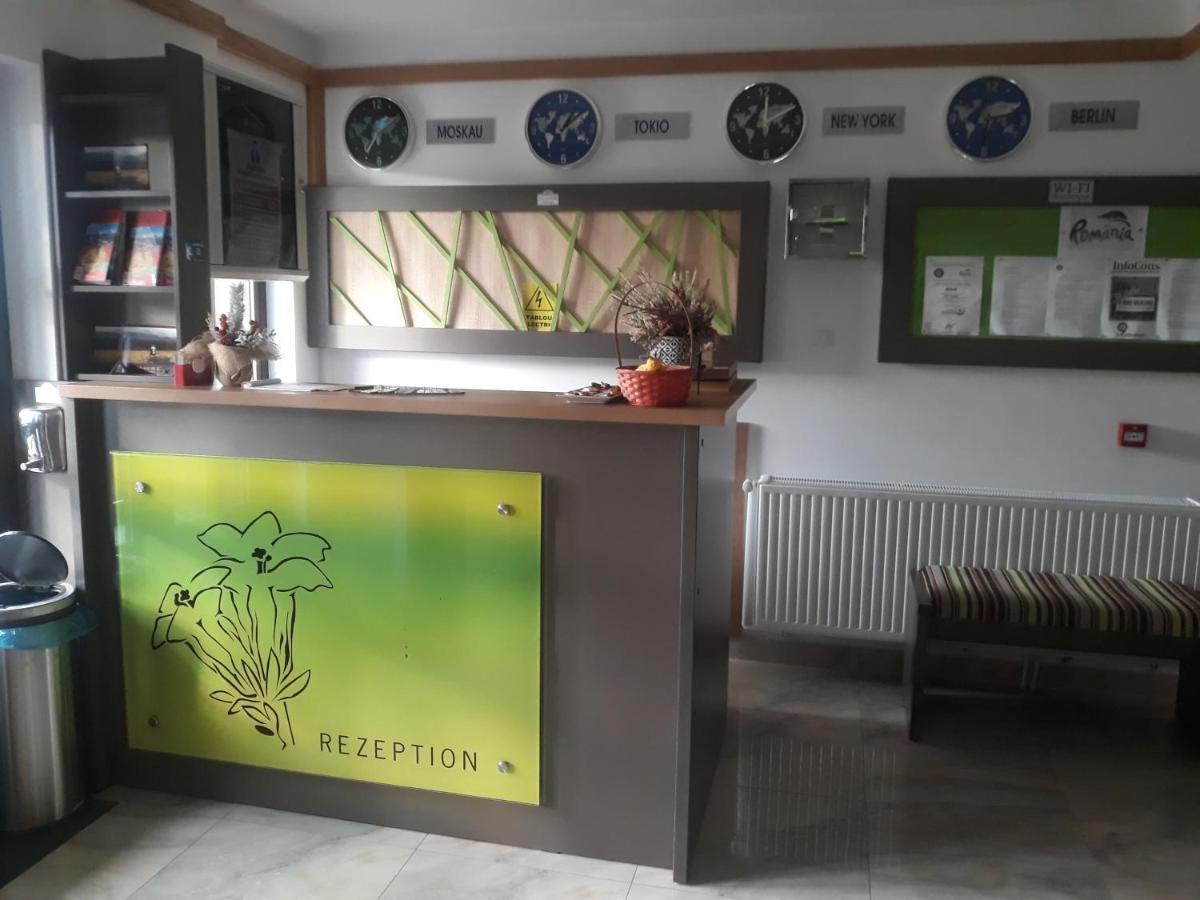 Hotel Nut House Retezat Nucsoara  Esterno foto